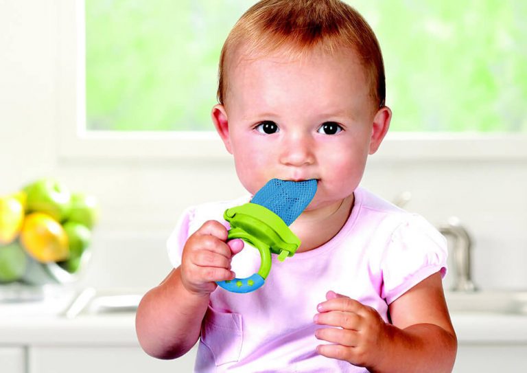 The Best Baby Food Feeder Choices